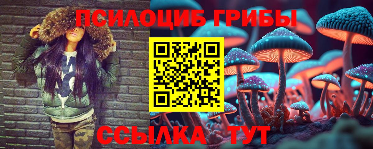 Псилоцибиновые грибы MAGIC MUSHROOMS Камышлов