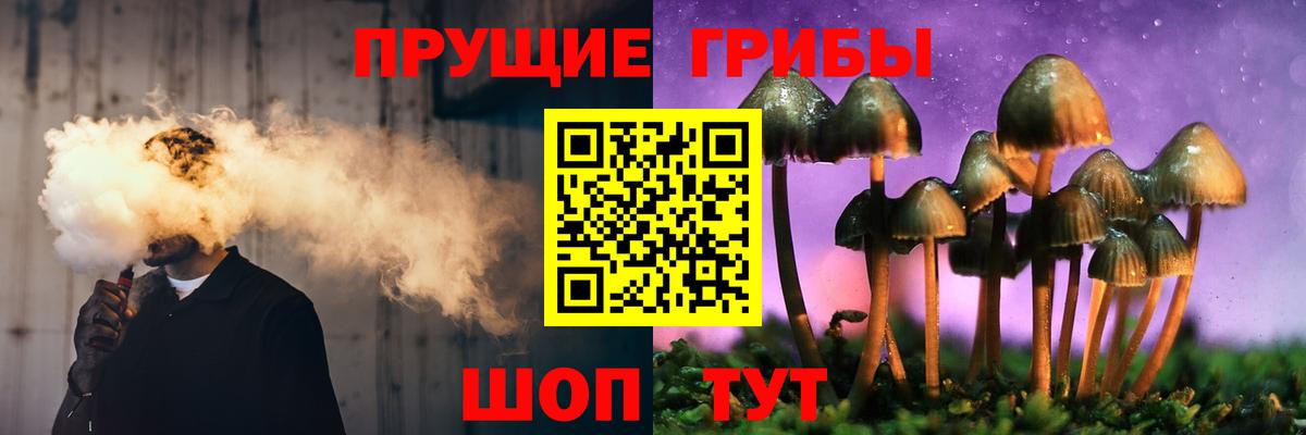 Камышлов  Галлюциногенные грибы GOLDEN TEACHER  Вход с VPN 