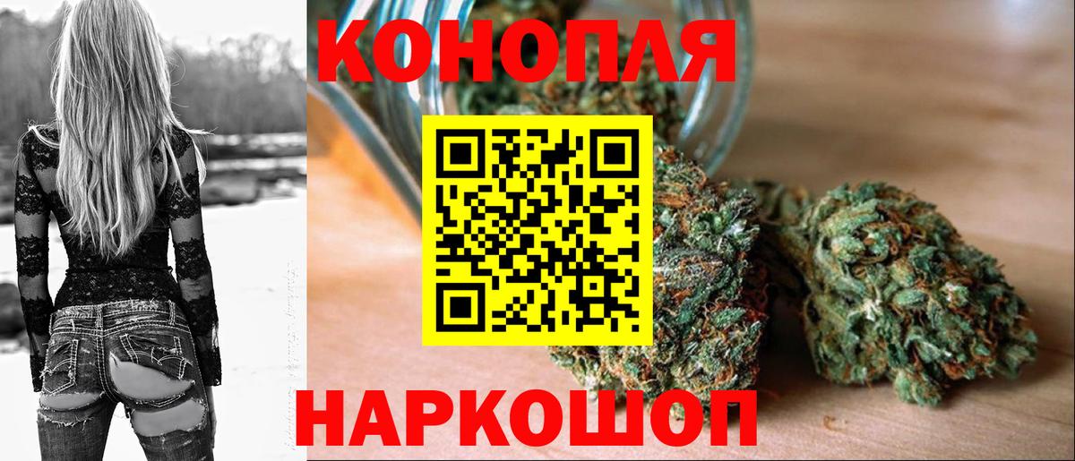 Шишки марихуана гибрид  Конопля конопля  Камышлов  Вход с VPN  Канабис семена 